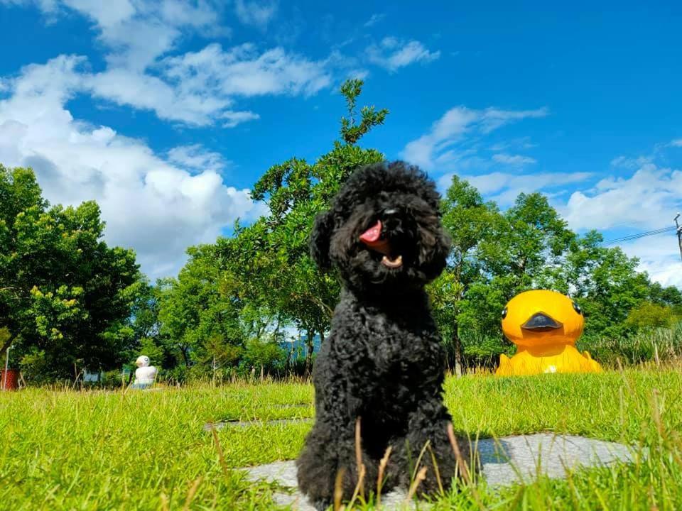 依比鴨鴨水岸會館 Ducking House Bed and Breakfast Ruisui Eksteriør billede
