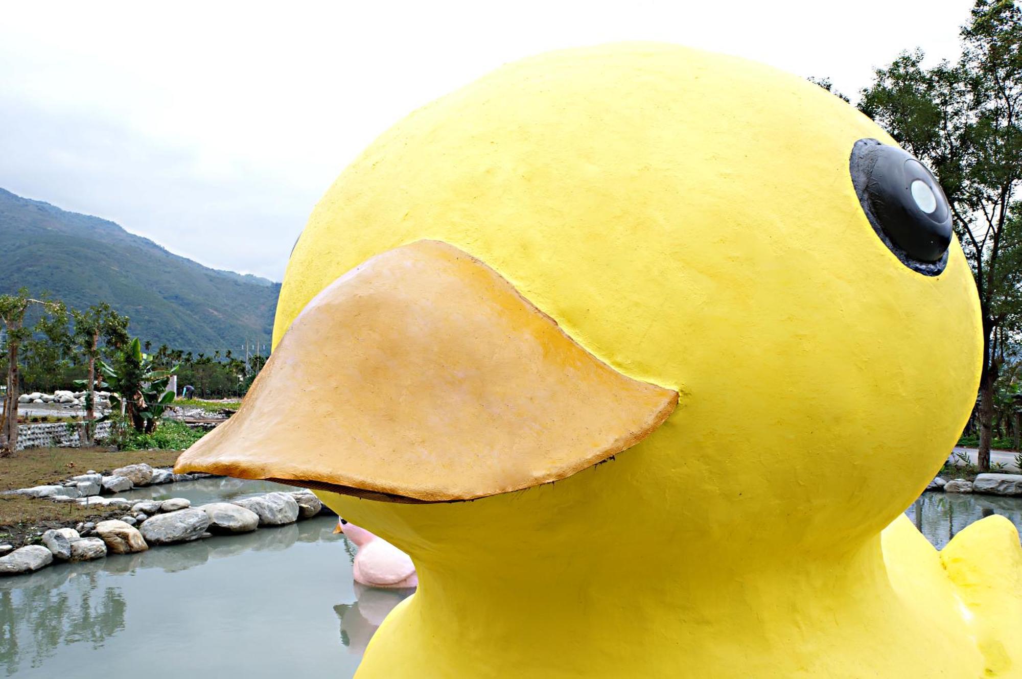 依比鴨鴨水岸會館 Ducking House Bed and Breakfast Ruisui Eksteriør billede